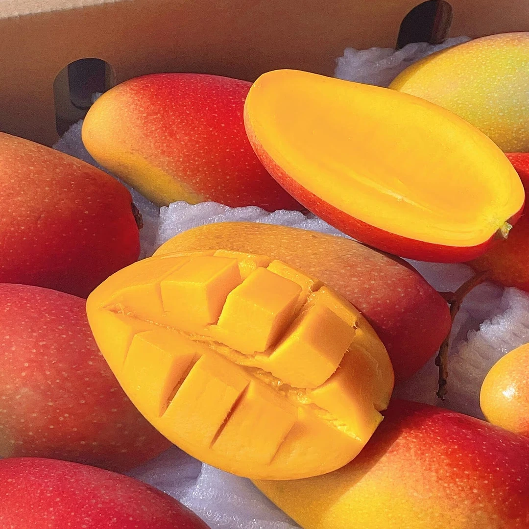 中龙芒果6.98/斤