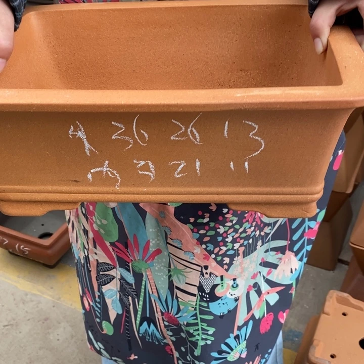 花盆紫砂只顾吃肉就