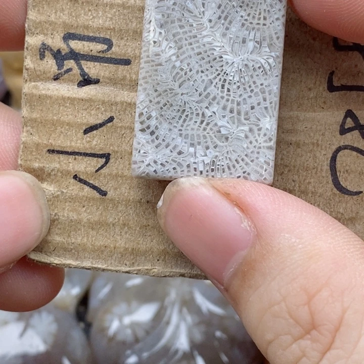 颈饰未镶嵌硅化珊瑚（珊瑚玉）s**.