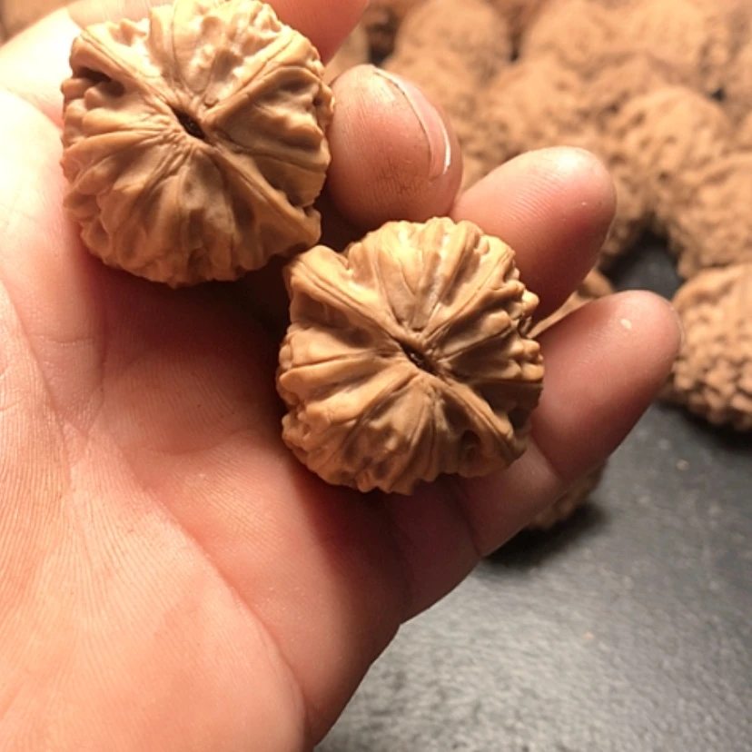 【闪购商品】树***鹿鸡心