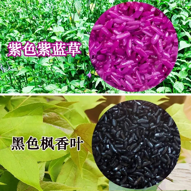 广西五色糯米饭植物染料原植物染饭花植物材料糯米染料植物染色料