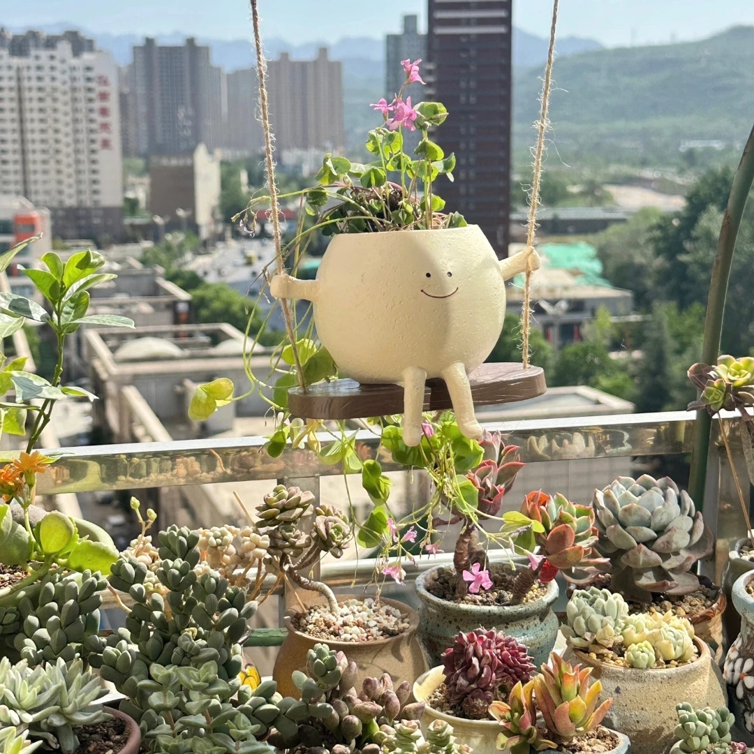 可爱创意多肉秋千笑脸花盆庭院花园个性装饰品家用悬挂式花盆