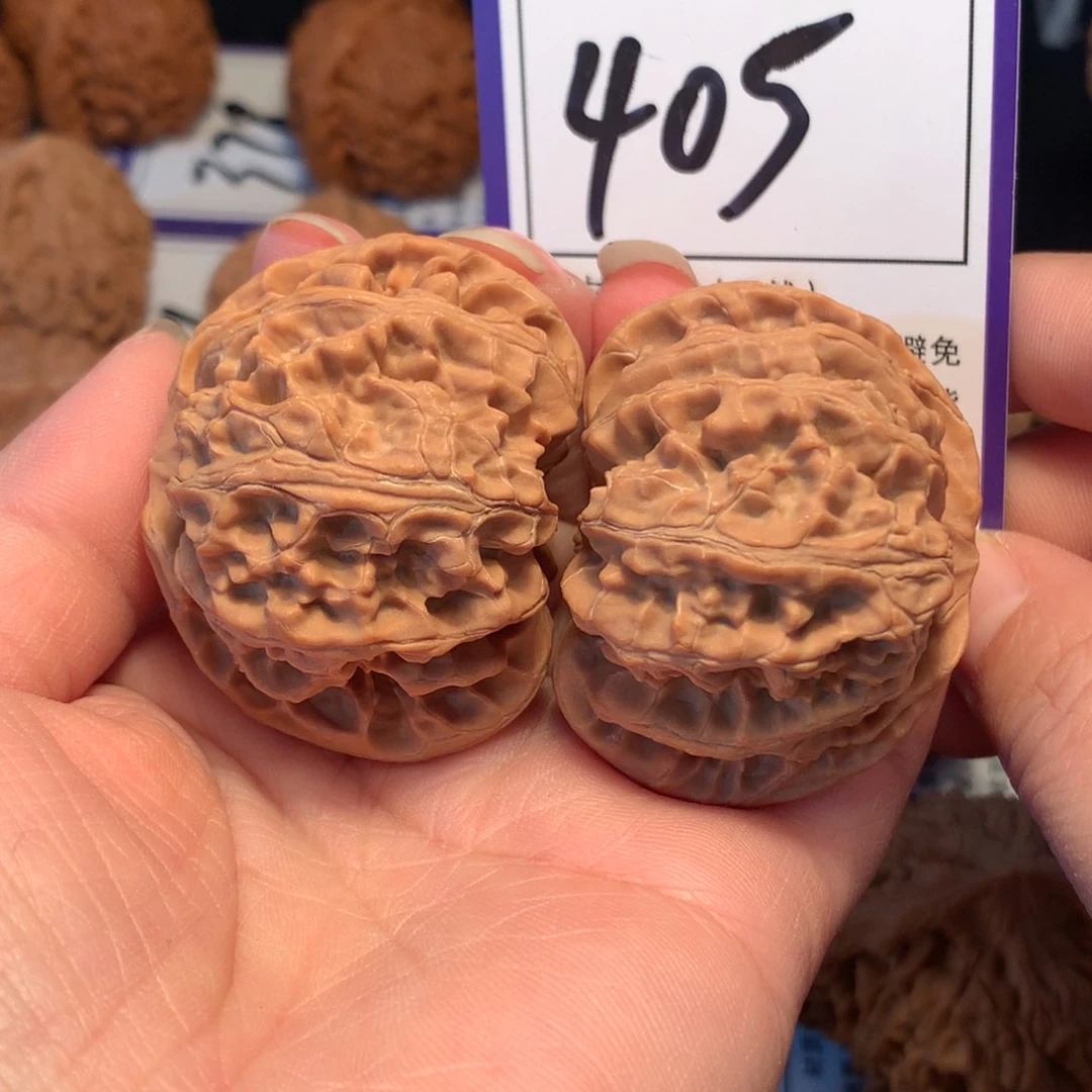 核桃405苹果园4.5