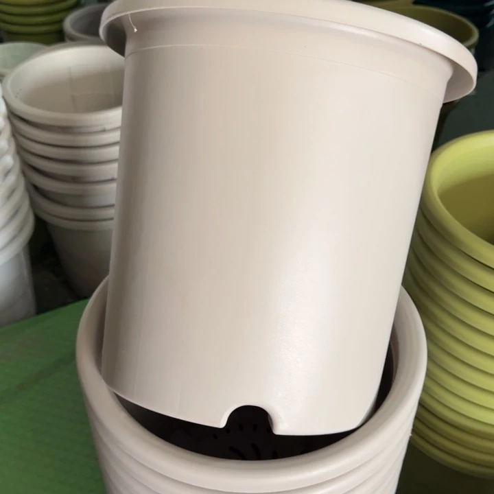 特价8号5个无托灰白