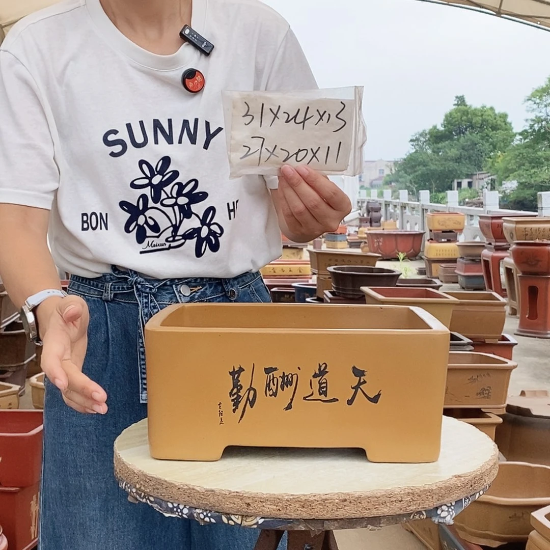 紫砂花盆紫砂花盆