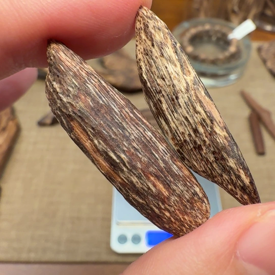 沉香香港大屿山棋韵瓜子