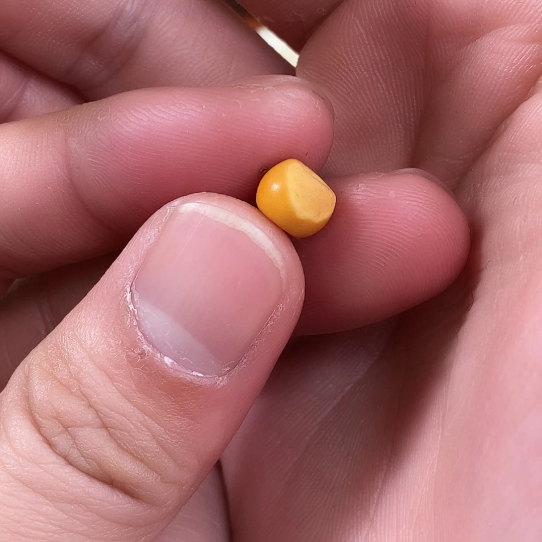 琥珀珠宝奇石未镶嵌爱*