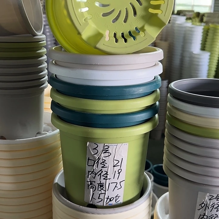 微瑕3#口径21无托果绿10个