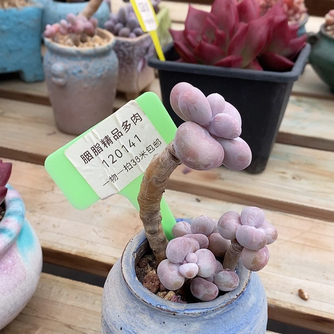 120141奥体湖南我们