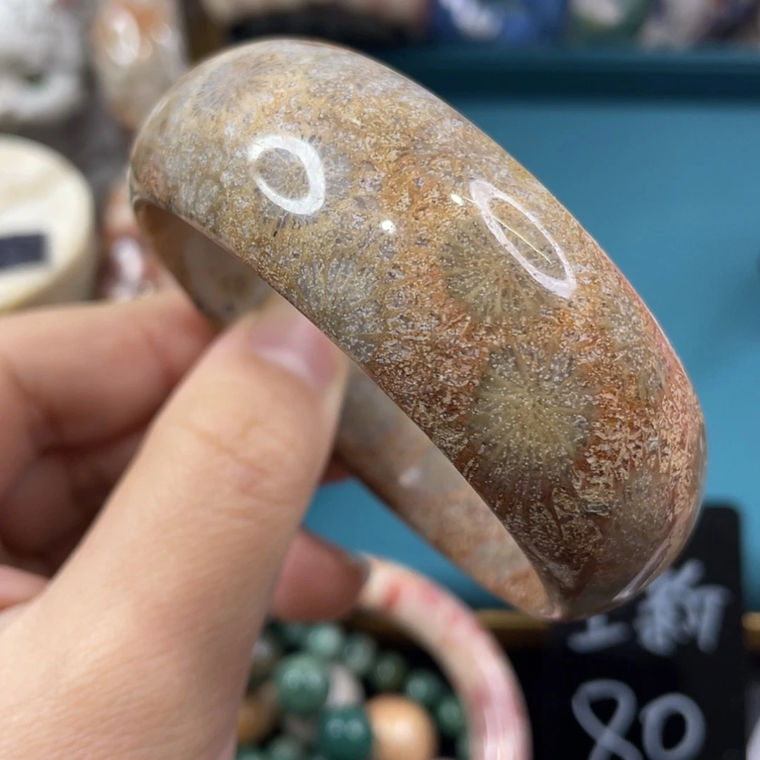 未镶嵌手镯硅化玉