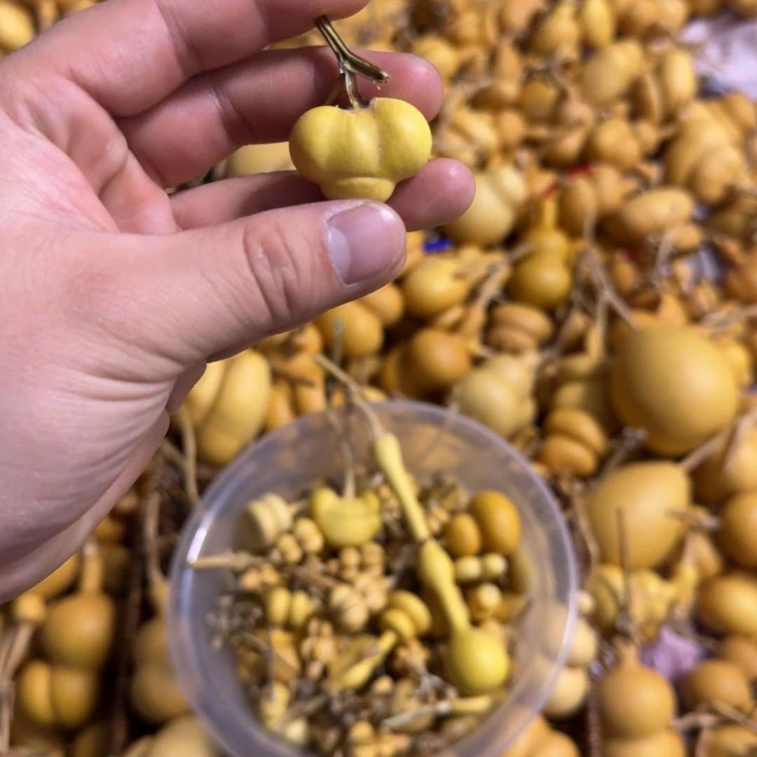 ?**?葫芦等多种颜色的花灯点缀