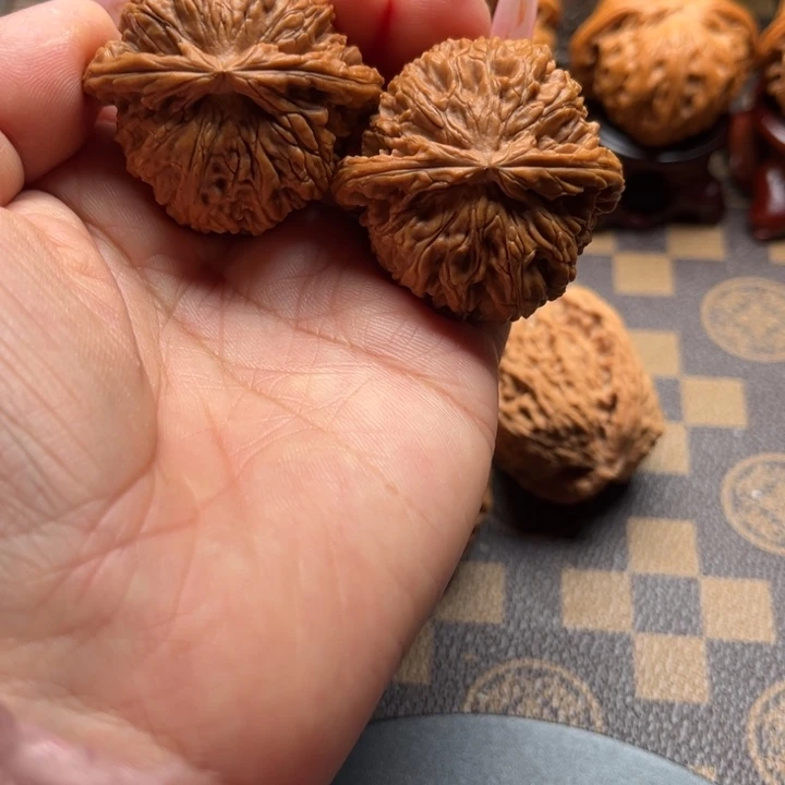核桃40白狮子文玩