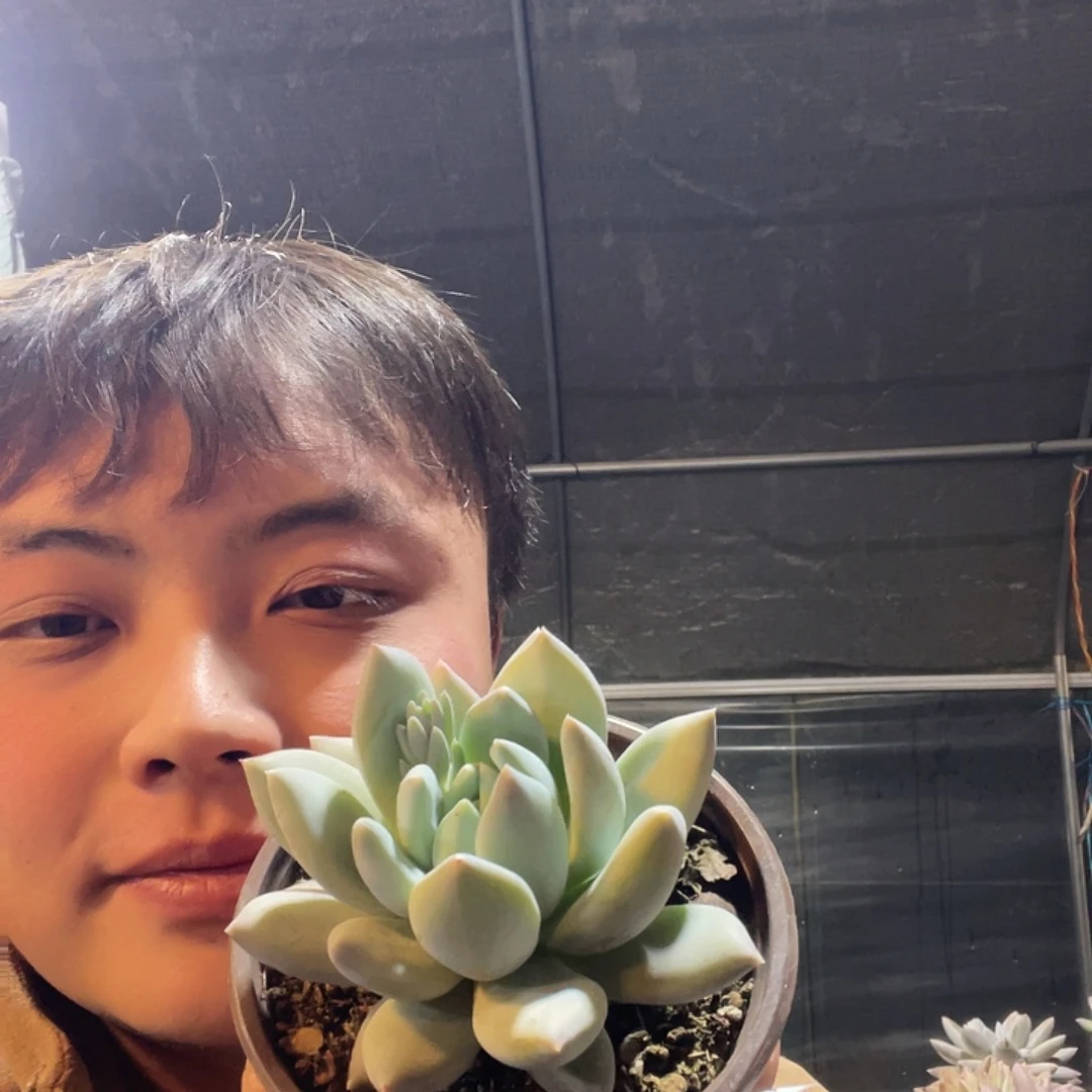 伊丽莎白满20包邮脱土发货