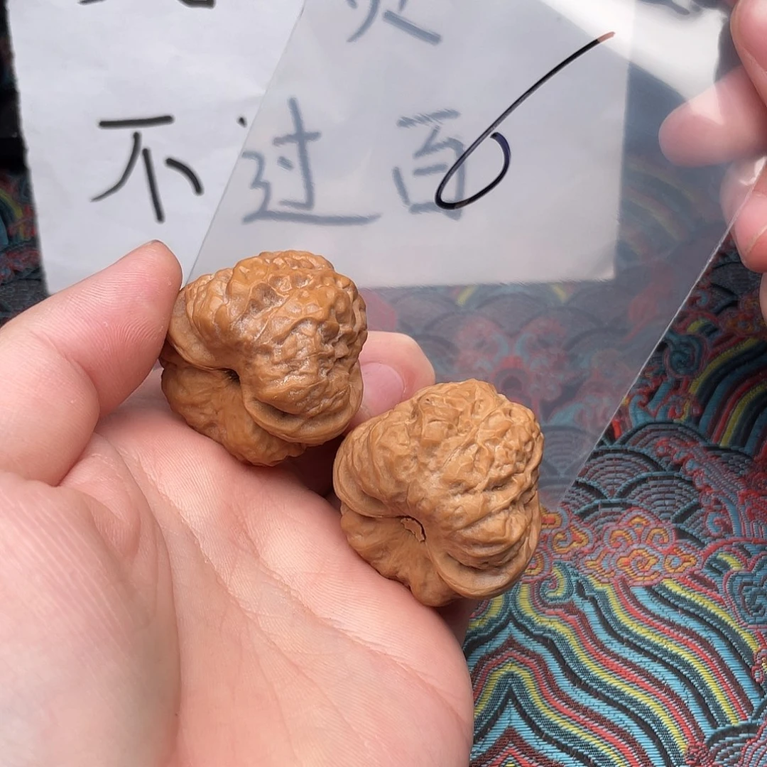 核桃哈哈哈哈哈哈哈哈哈哈哈