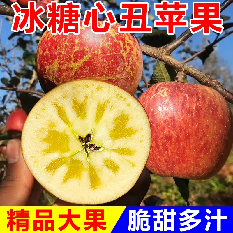 大凉山盐源丑苹果 脆甜多汁酸甜可口当季新鲜水果