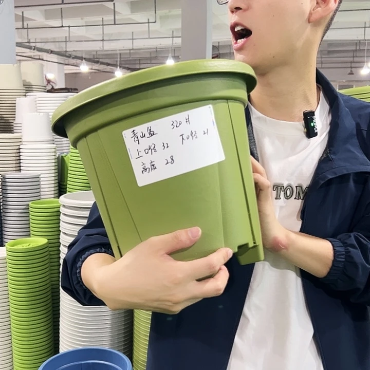 正品青山口32高28果绿无托5只