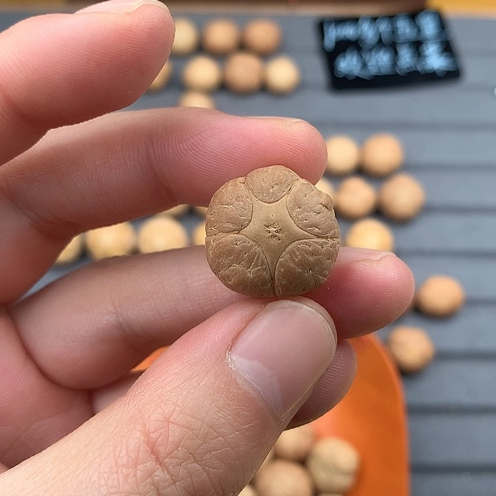 吊坠凤眼菩提21+五星，非质量问题开孔不退