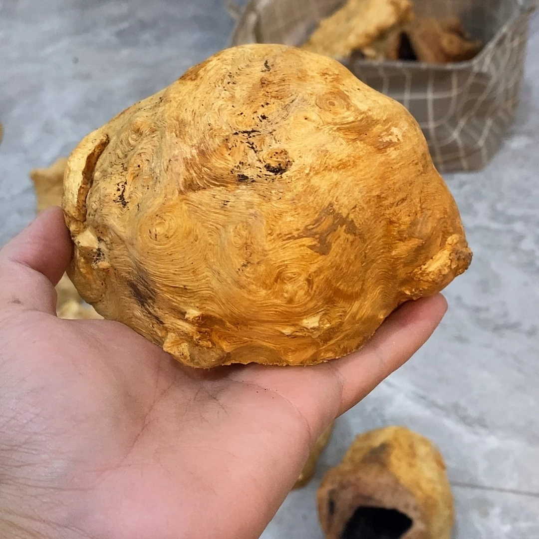 3***治荔枝木荔枝木原料