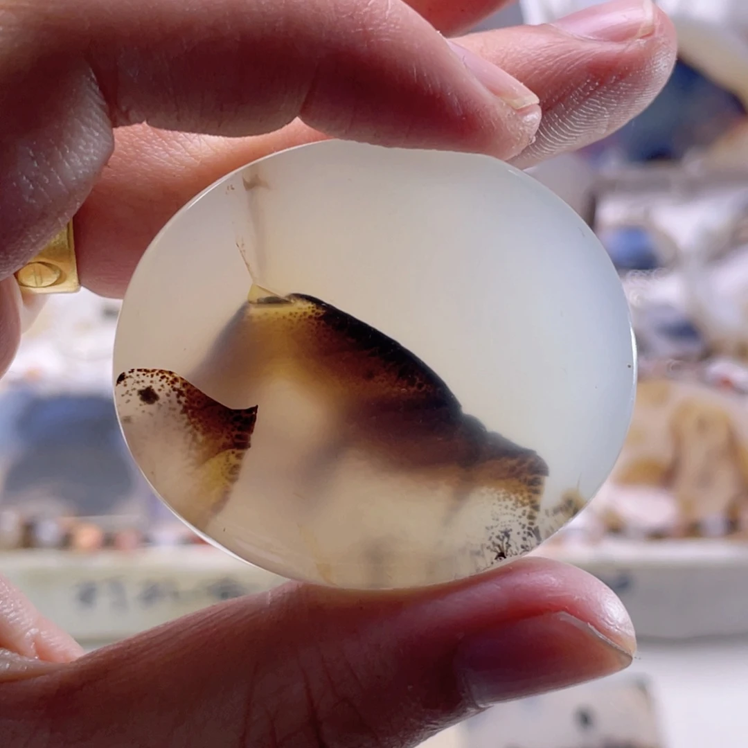 玛瑙/玉髓未镶嵌珠宝奇石