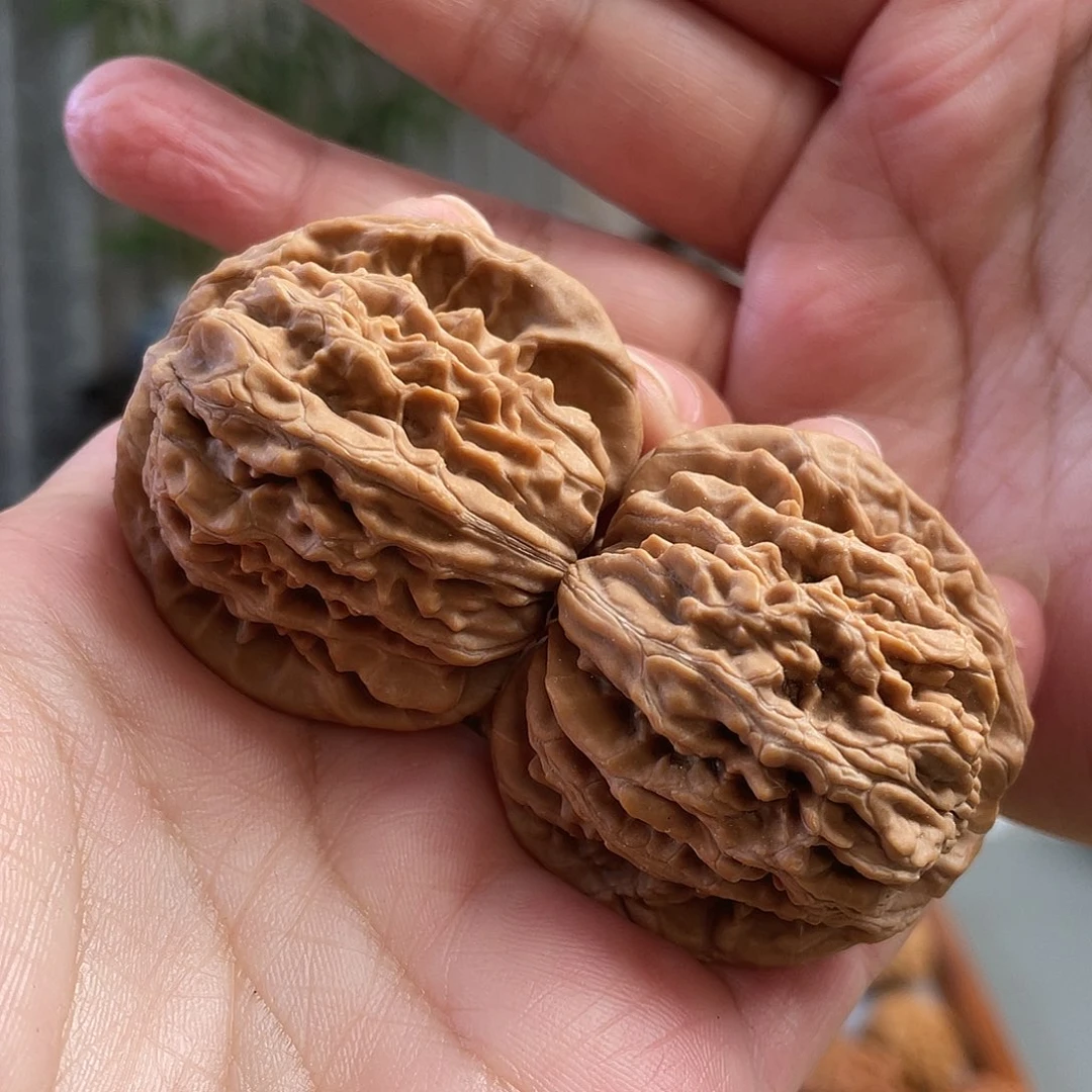 桃核把件44×40尺精修白茬蓟县四座楼CN436