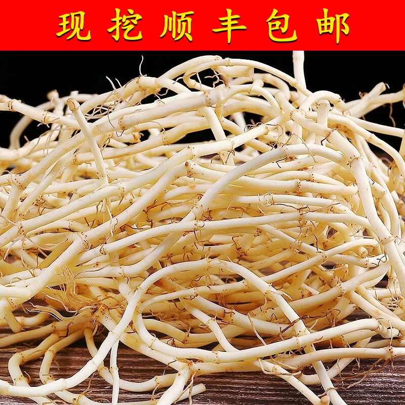 折耳根3斤现挖现发鱼腥草猪鼻孔野菜新鲜凉伴美食顺丰包邮