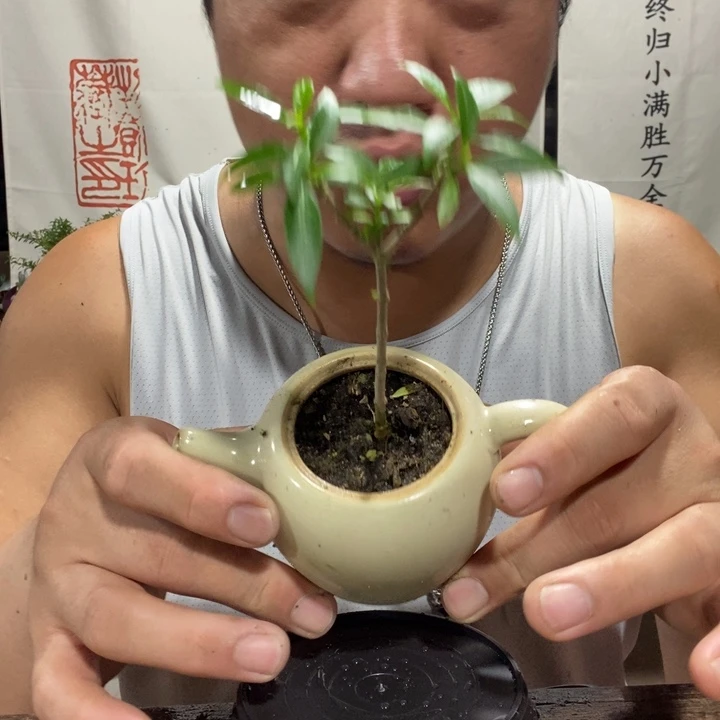 好**狗一物一拍所见即所得293