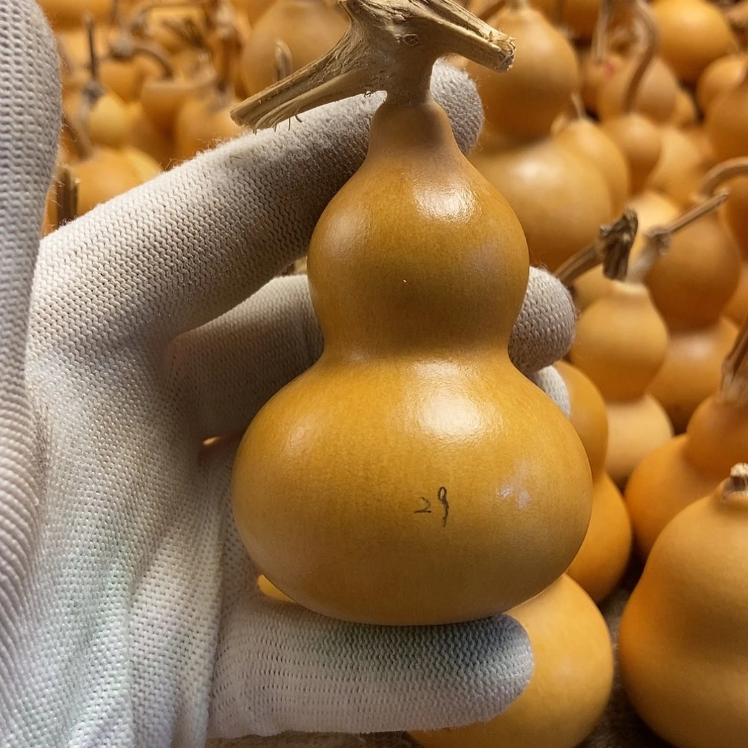 文玩葫芦 完美主义者 慎拍29