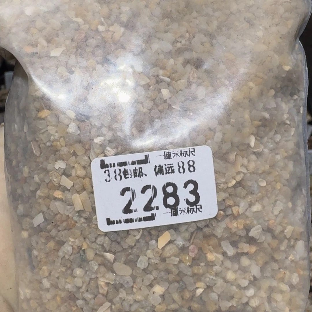 Zzzzz精品生石花2283