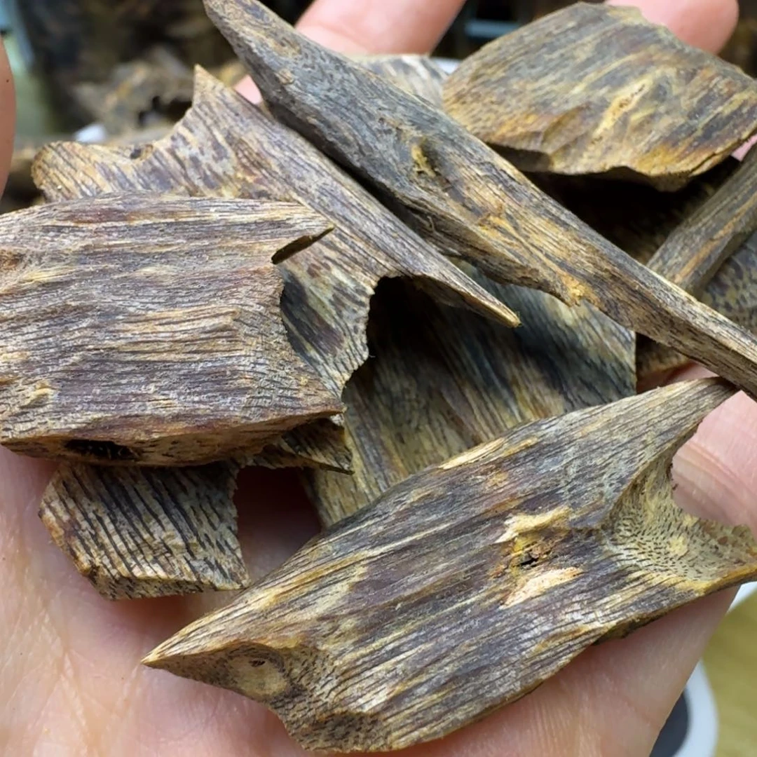 沉香碎屑沉香蓝宝石高油块料50g