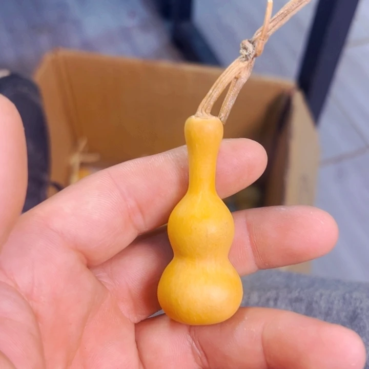 臭*氓文玩葫芦八宝葫芦