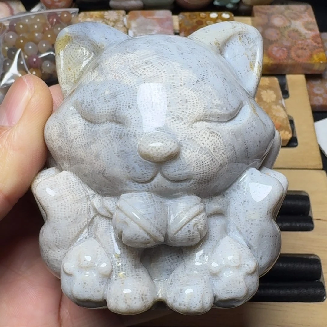 硅化珊瑚（珊瑚玉）纯天然色有机玉石未镶嵌素*颜