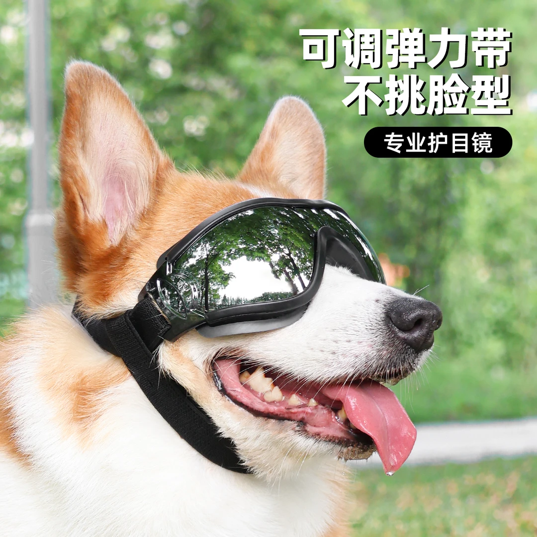 狗狗墨镜柯基泰迪金毛边牧小型犬防风紫外线宠物眼镜狗护目镜防晒