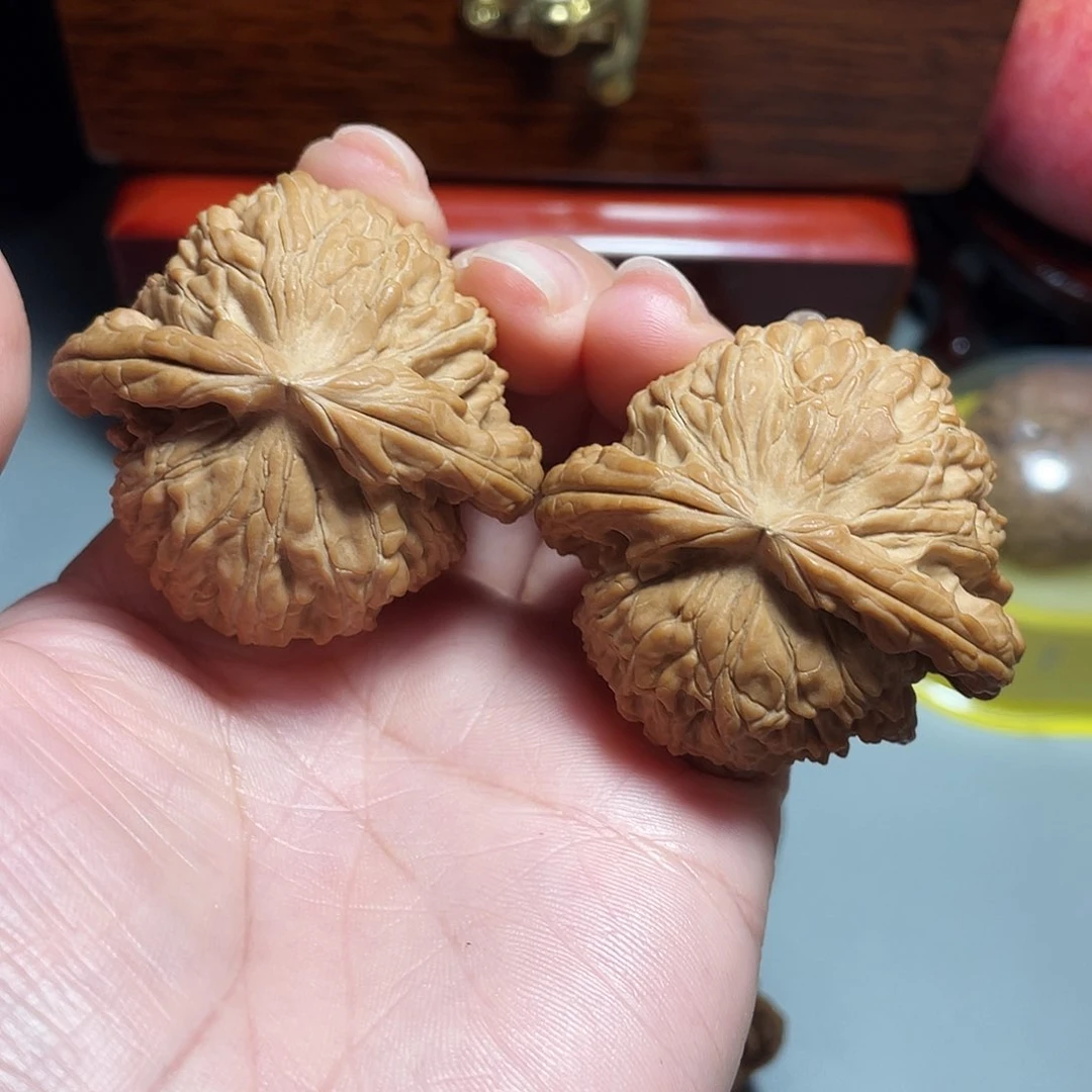 核桃手串/手链精品白狮子46