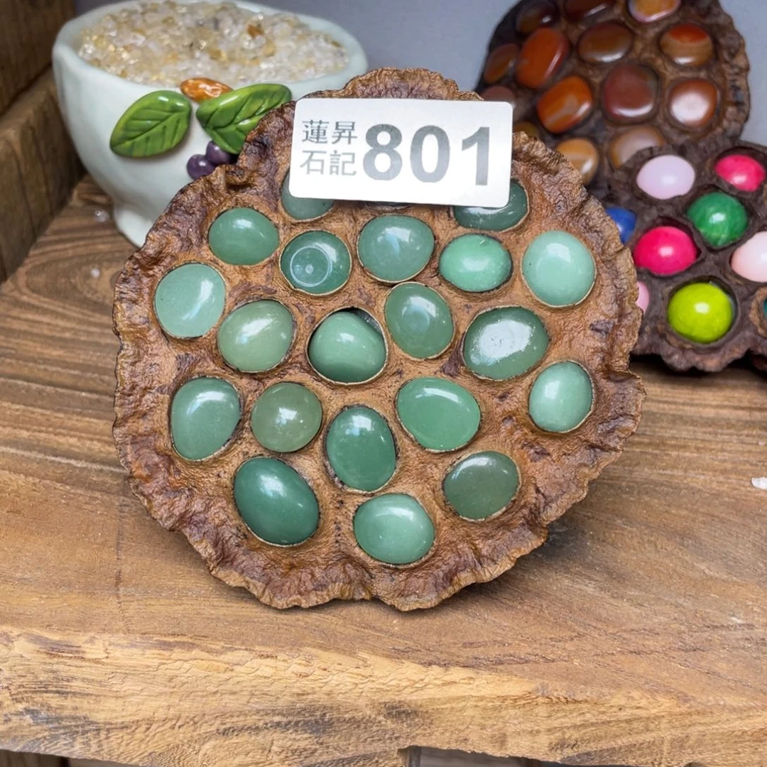 核桃木/黑胡桃（胡桃木）菊*801