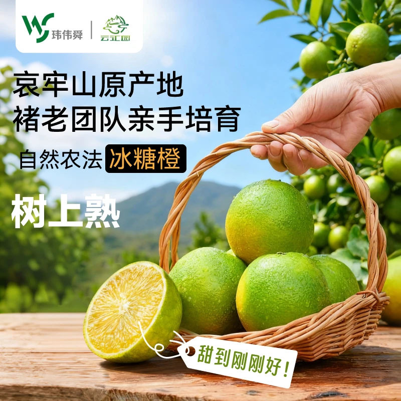 云南哀牢山冰糖橙褚橙同种同品质清甜多汁皮薄肉厚礼盒直发
