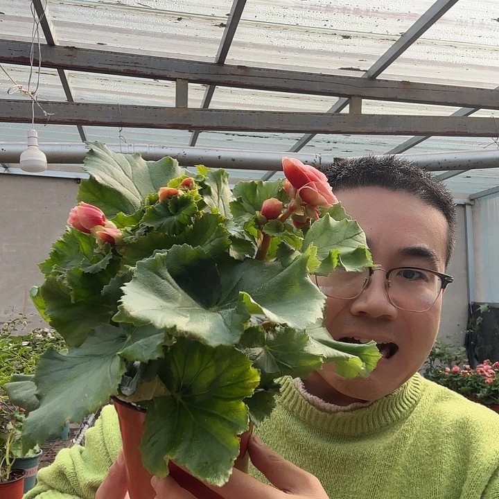 爱****完全开放公主粉➕保温