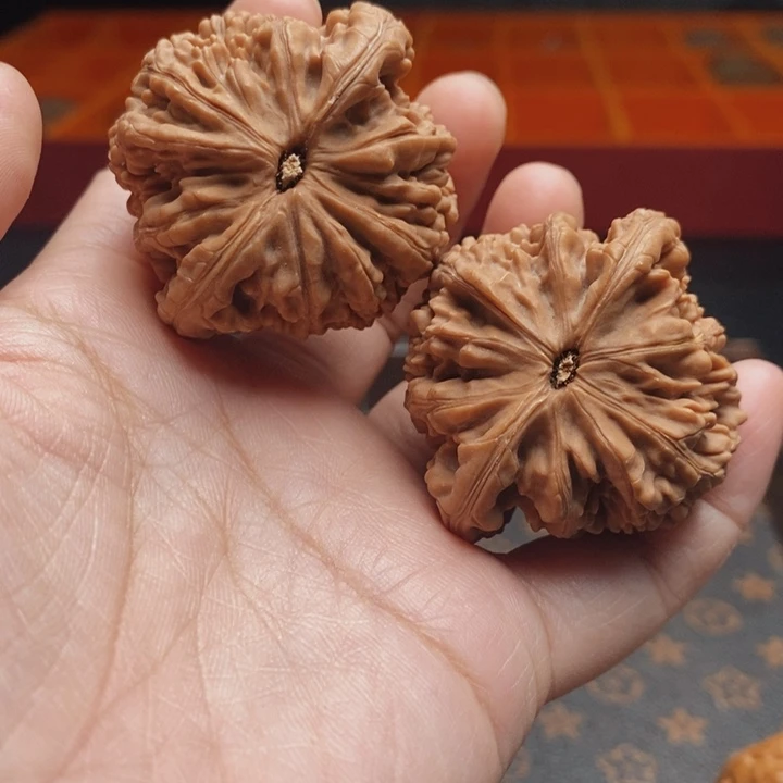 把件文玩核桃虎头王43尺