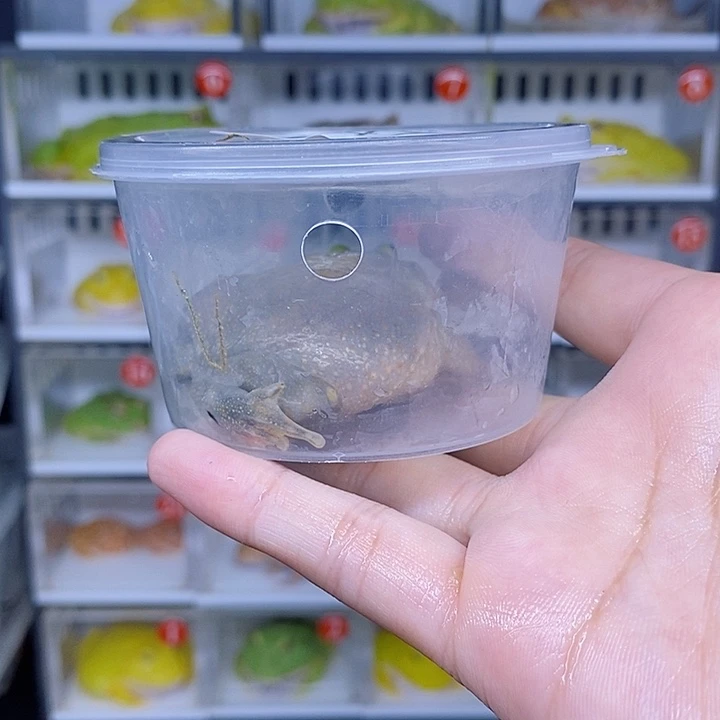 特价秒杀特价原价