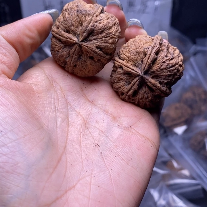 文玩核桃把件云南野生铁核桃98号37mm