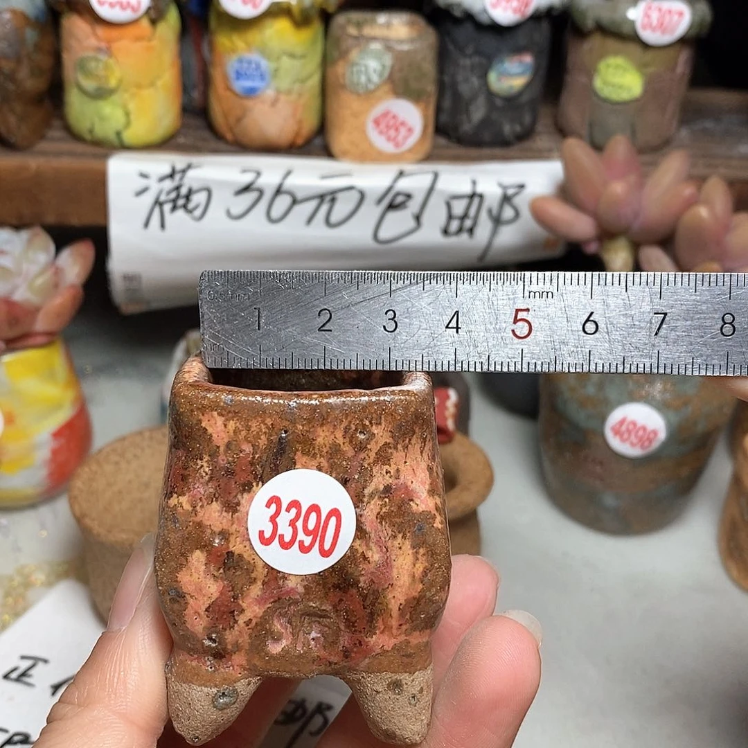 红陶拍5送一个小