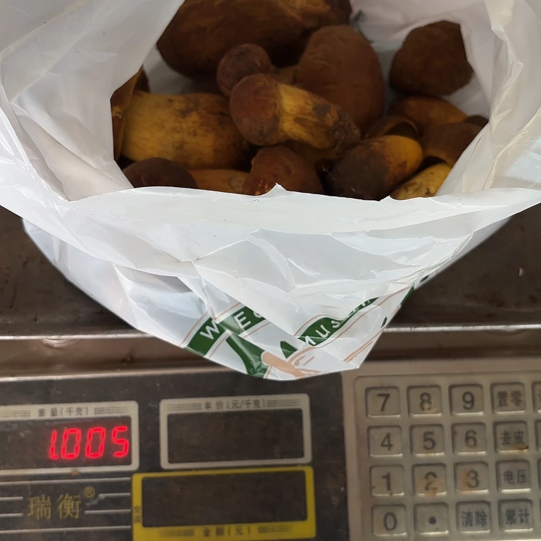 极***风云南小表妹野生菌代购中国大陆