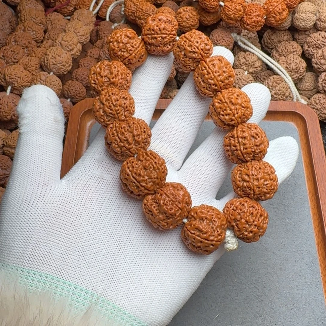 菩提菩提12号尼泊尔大金刚22梅花蜂窝