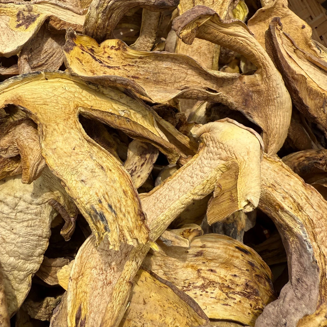 云南白葱牛肝菌清脆滑嫩葱香高煲汤爆炒煮熟食用菌