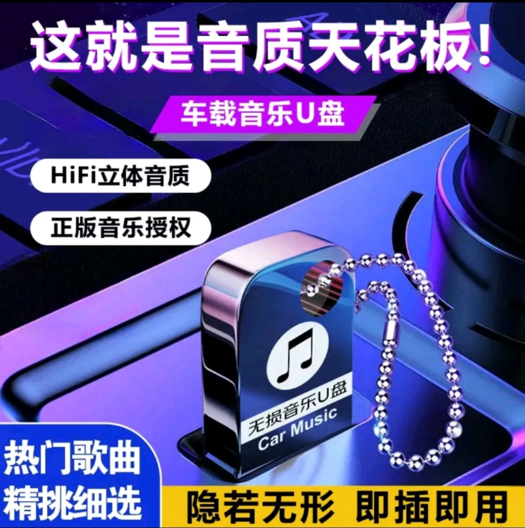 【2025畅销版】车载U盘，母源灌入，无损正版