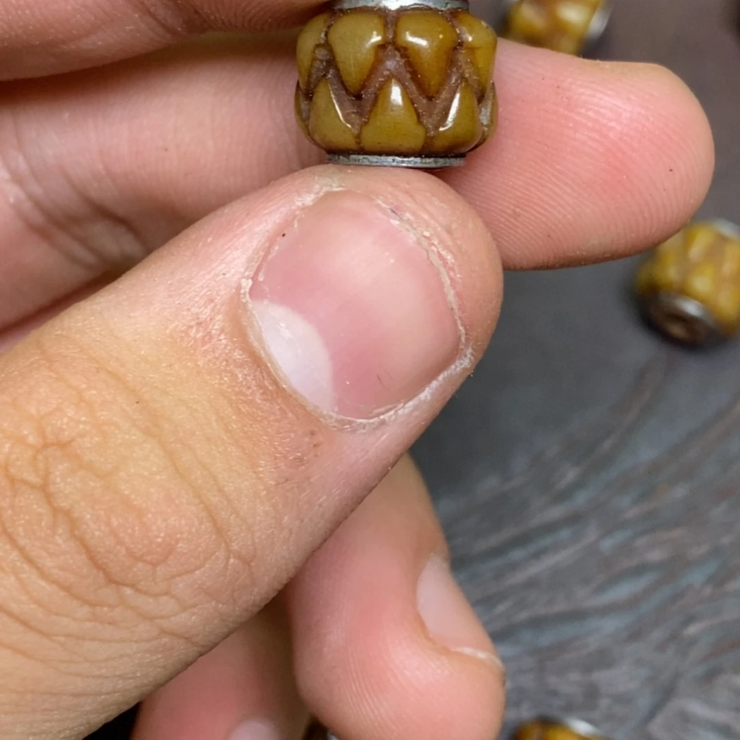 其他驼骨驼骨1.2。196