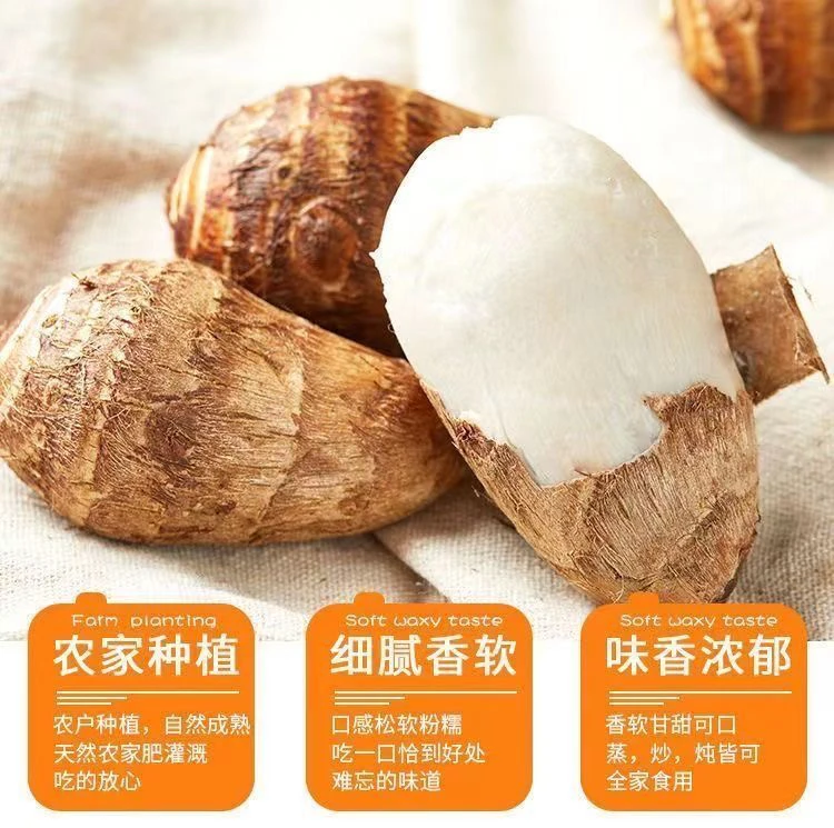 云南农家现收山货高山老姜 香芋 牛奶芋头