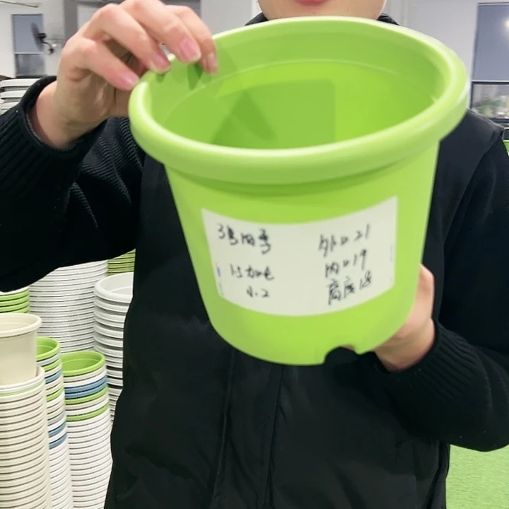 特价3号口21高18果绿色10只无托