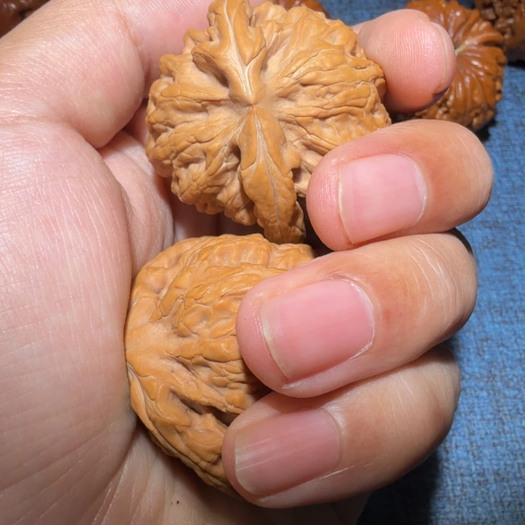 文玩核桃把件红锦鲤39尺寸1698