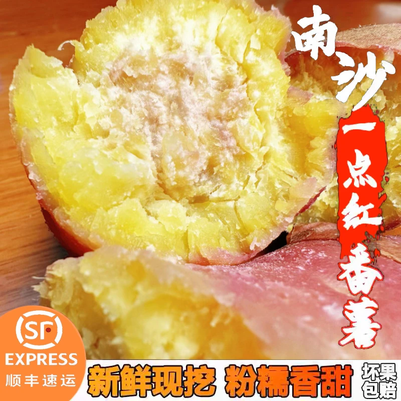 (顺丰包邮)新鲜南沙一点红番薯软糯香甜非100%有紫心