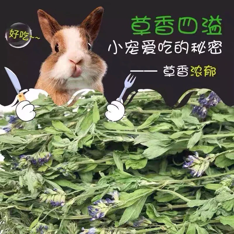 紫花苜蓿草 兔草新草香脆营养烘干毛重1KG宠物兔专用苜蓿草